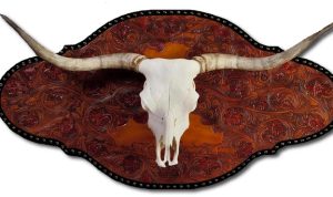 Longhorn horns wall decor