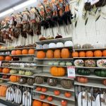 Outdoor wall decor hobby lobby