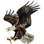 Metal eagle wall decor