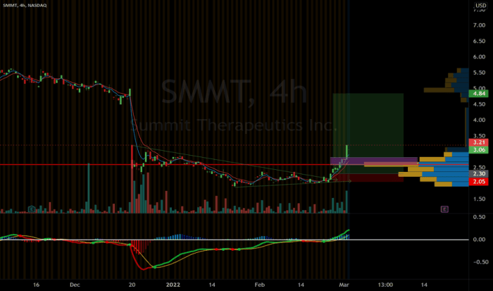 Smmt stock price