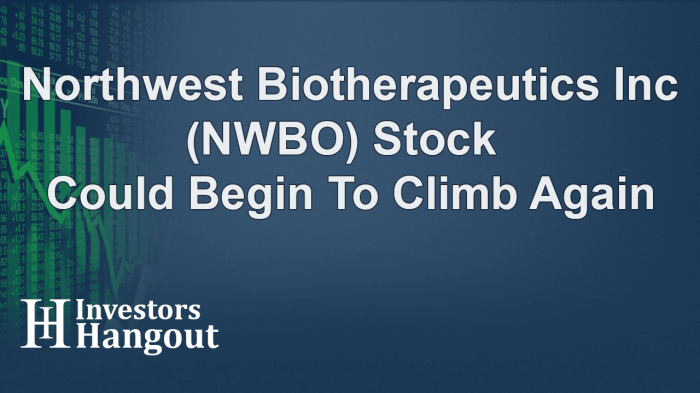 Nwbo stock price