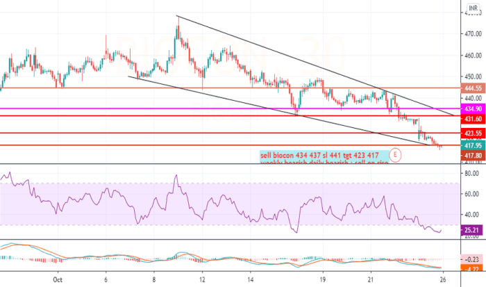 Biocon price share charts ltd chart analysis stock high topstockresearch threemonths