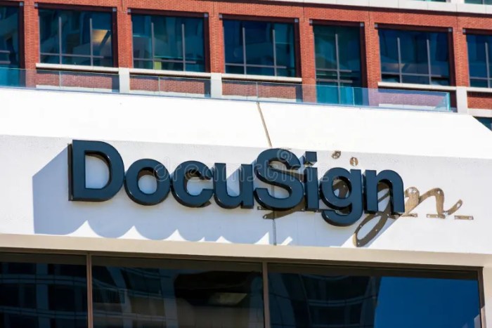 Docu stock price